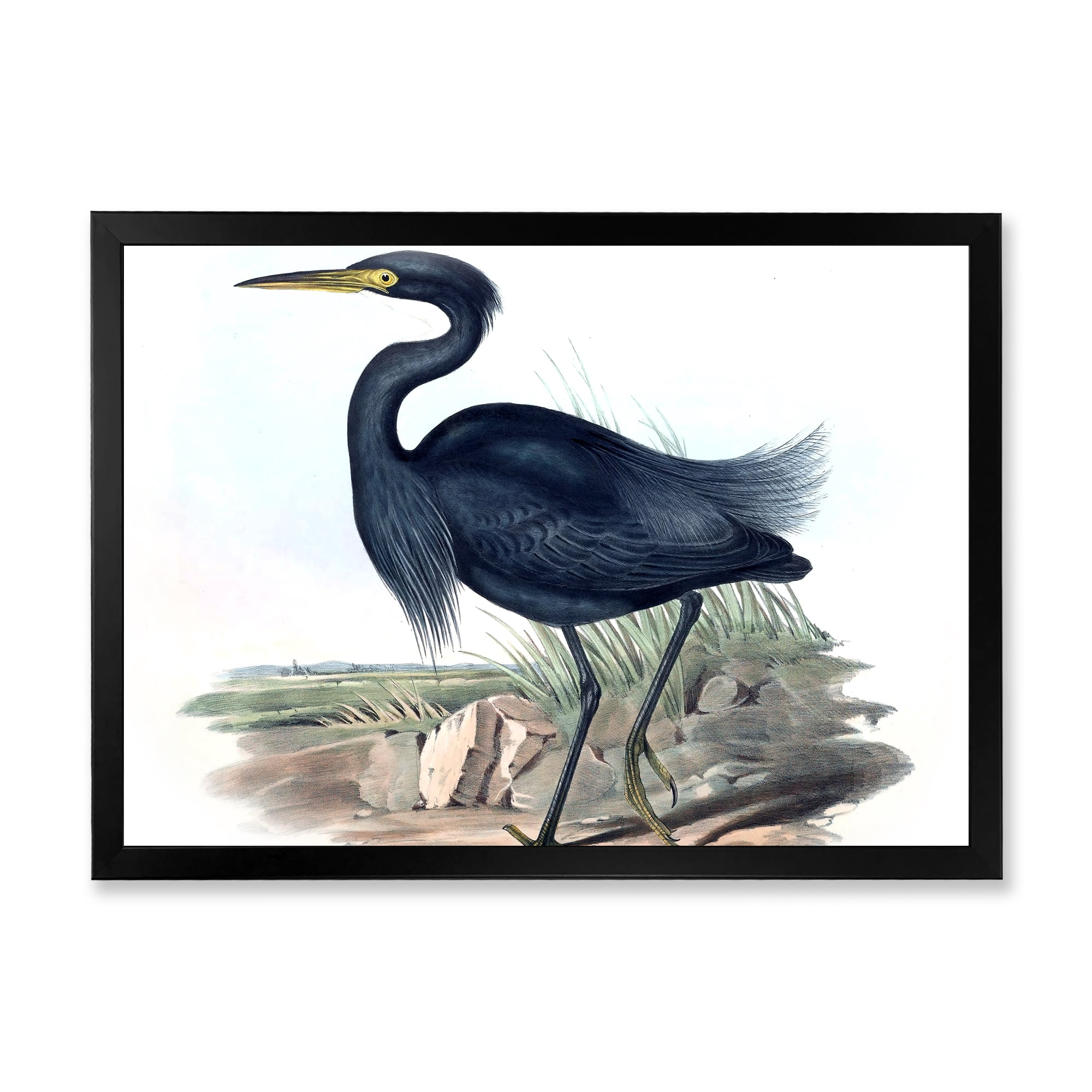 Designart 'Ancient Australian Birds III' Traditional Framed Art Print