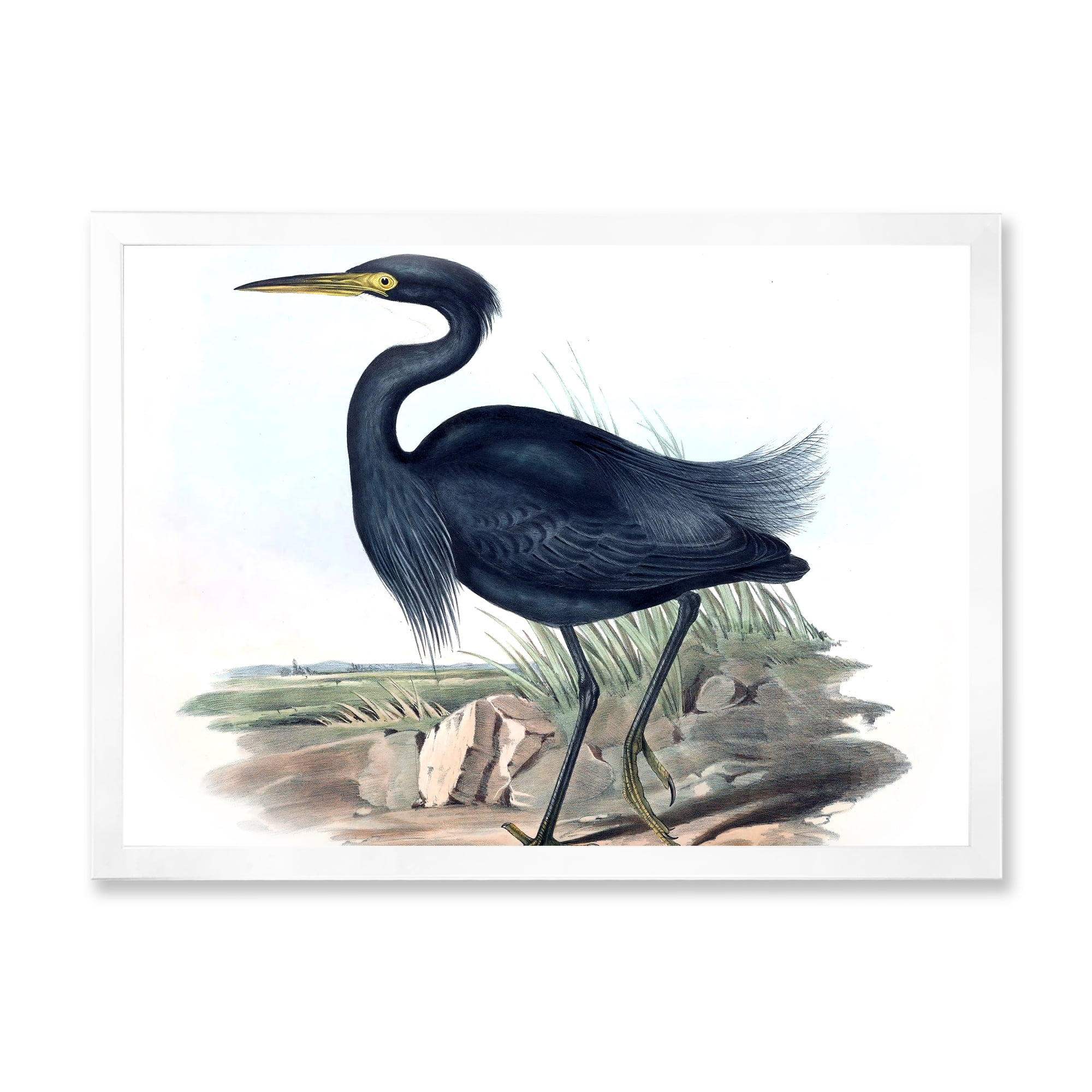 Designart 'Ancient Australian Birds III' Traditional Framed Art Print