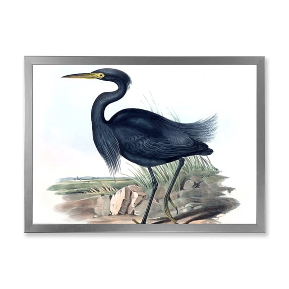 Designart 'Ancient Australian Birds III' Traditional Framed Art Print
