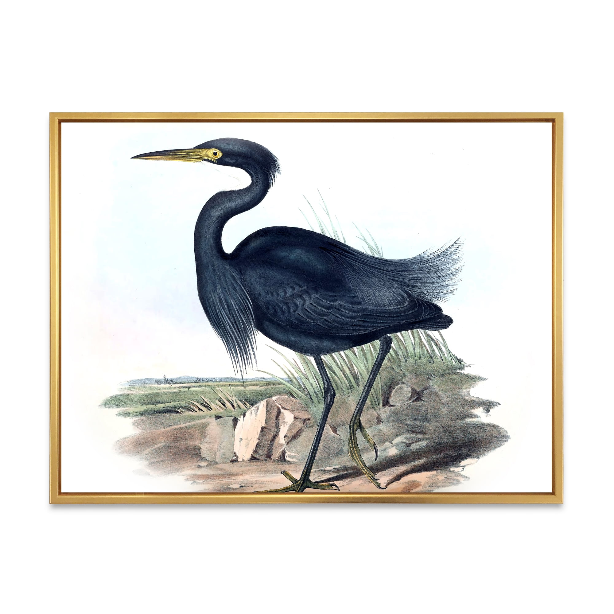 Designart 'Ancient Australian Birds III' Traditional Framed Canvas Wall Art Print