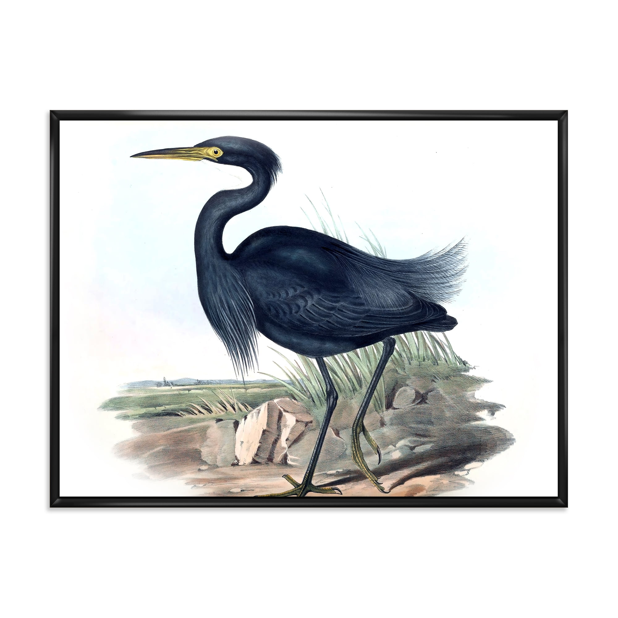 Designart 'Ancient Australian Birds III' Traditional Framed Canvas Wall Art Print
