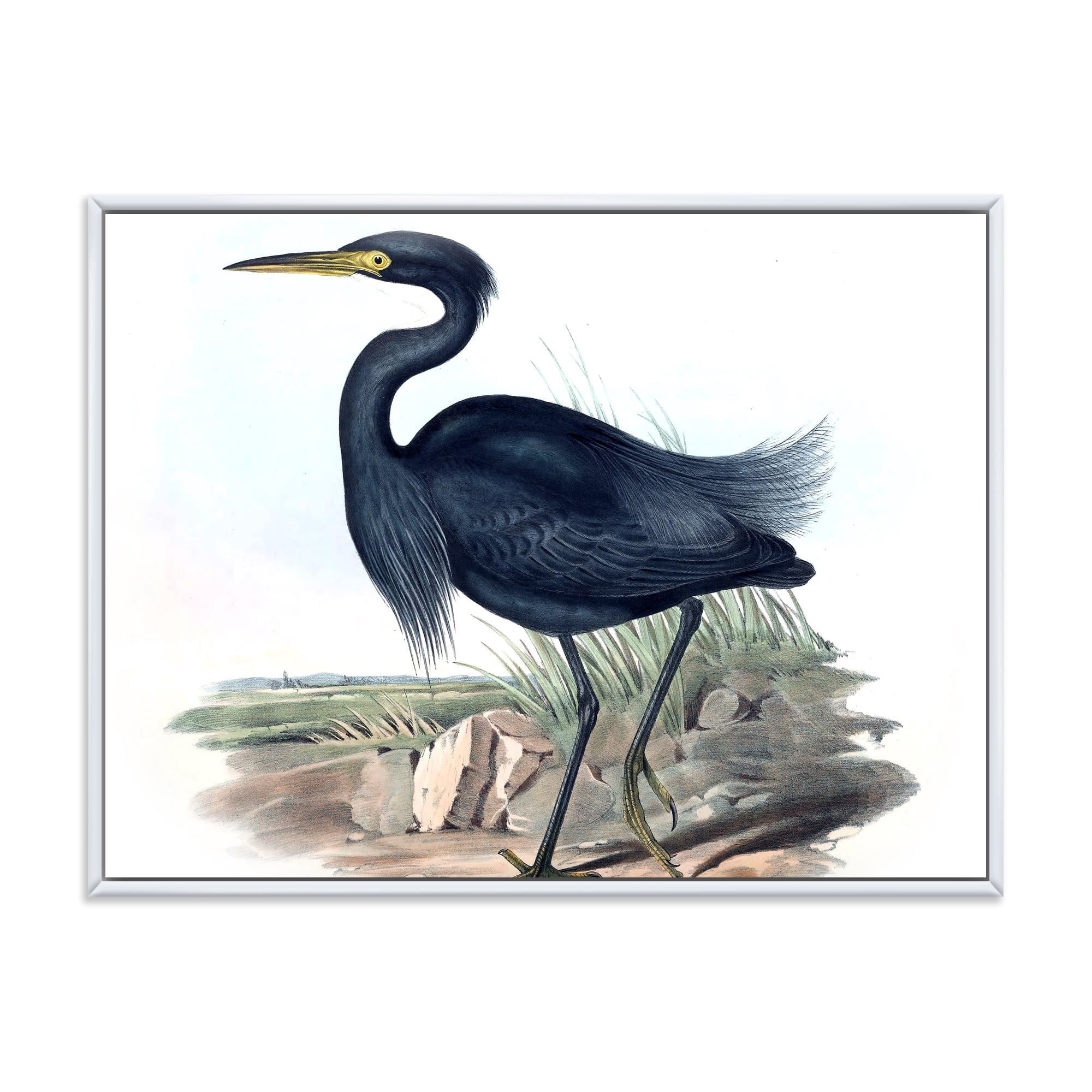 Designart 'Ancient Australian Birds III' Traditional Framed Canvas Wall Art Print