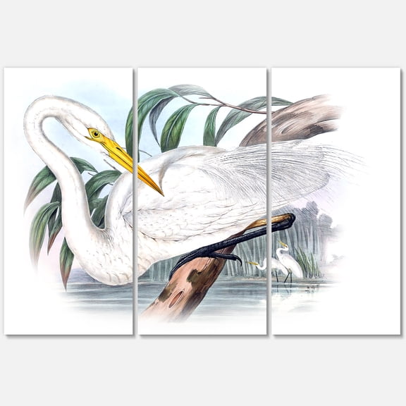 Designart ' Ancient Australian Birds IV ' Traditional Canvas Wall Art Print