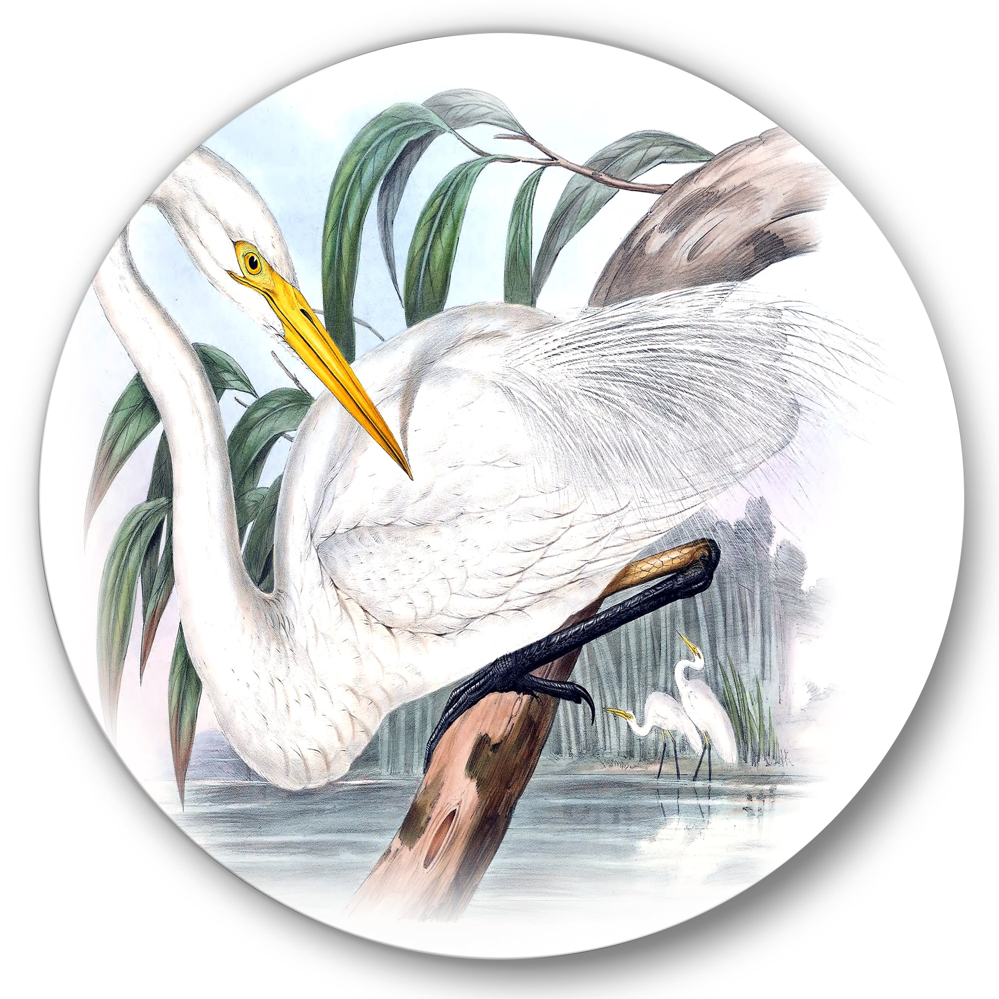 Designart 'Ancient Australian Birds IV' Traditional Circle Metal Wall Art 23x23 - Disc of 23
