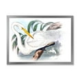 thumbnail image 1 of Designart 'Ancient Australian Birds IV' Traditional Framed Art Print, 1 of 4