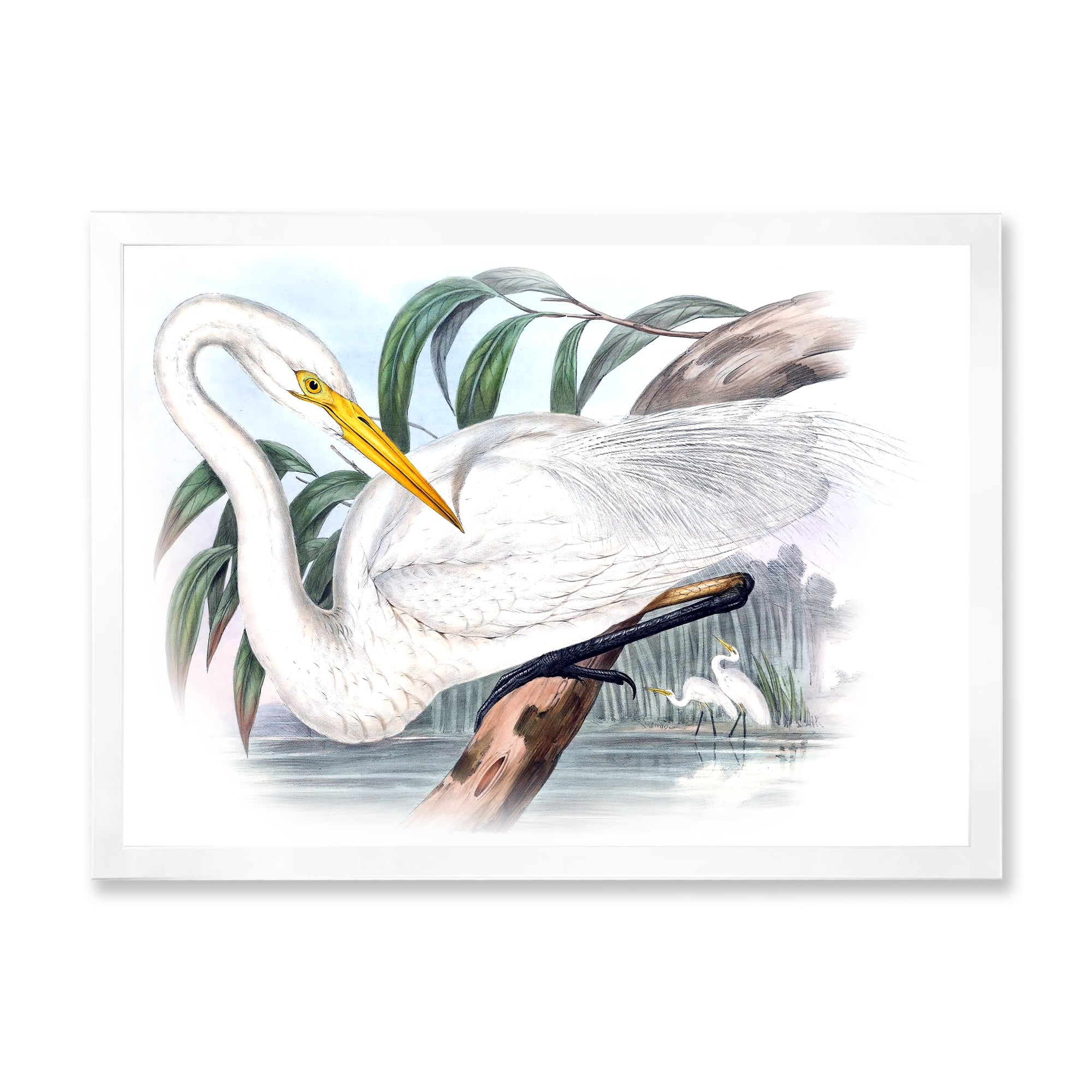 Designart 'Ancient Australian Birds IV' Traditional Framed Art Print