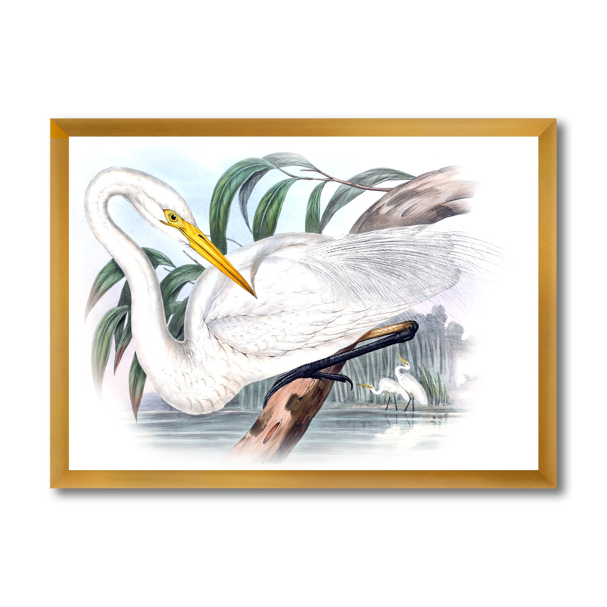 Designart 'Ancient Australian Birds IV' Traditional Framed Art Print
