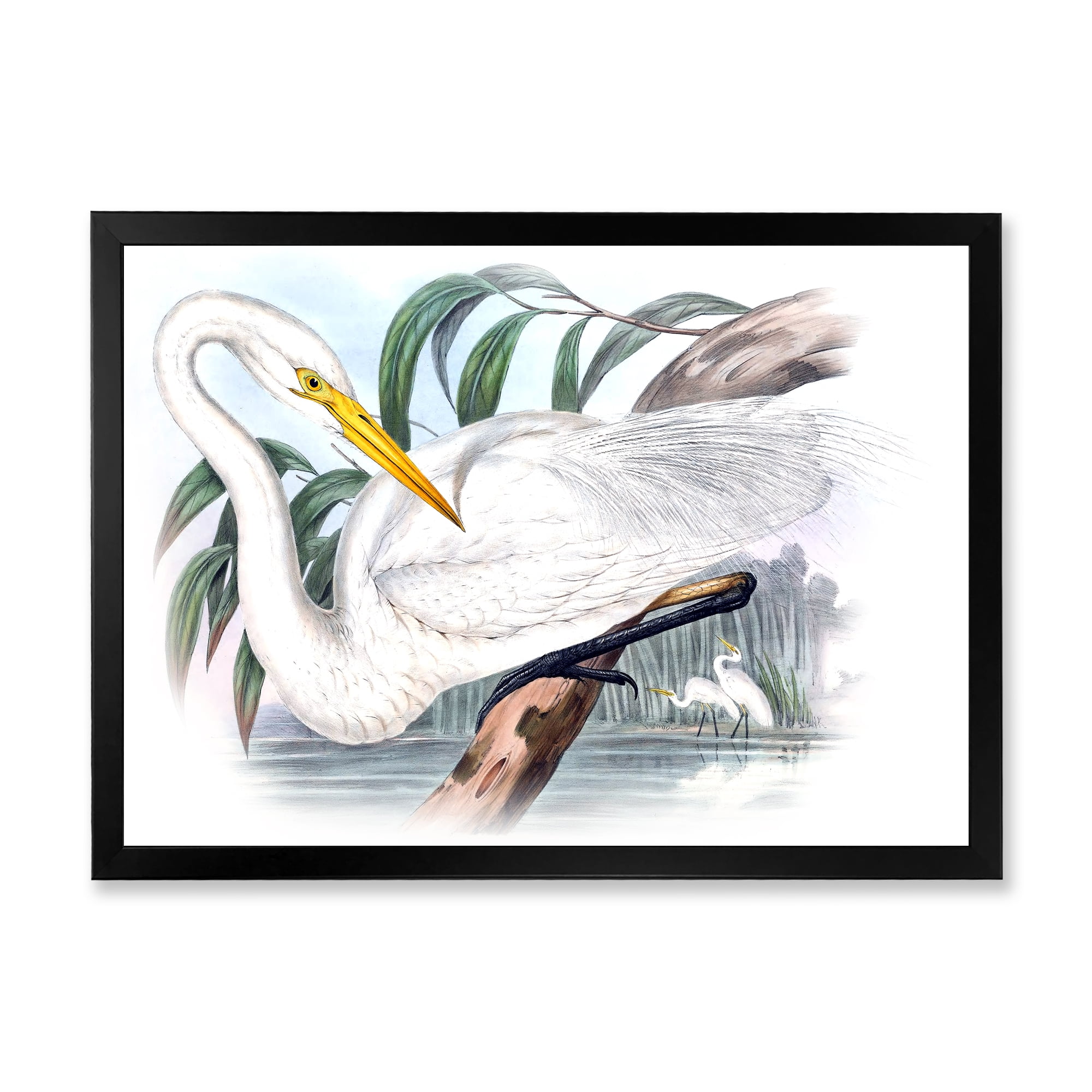Designart 'Ancient Australian Birds IV' Traditional Framed Art Print