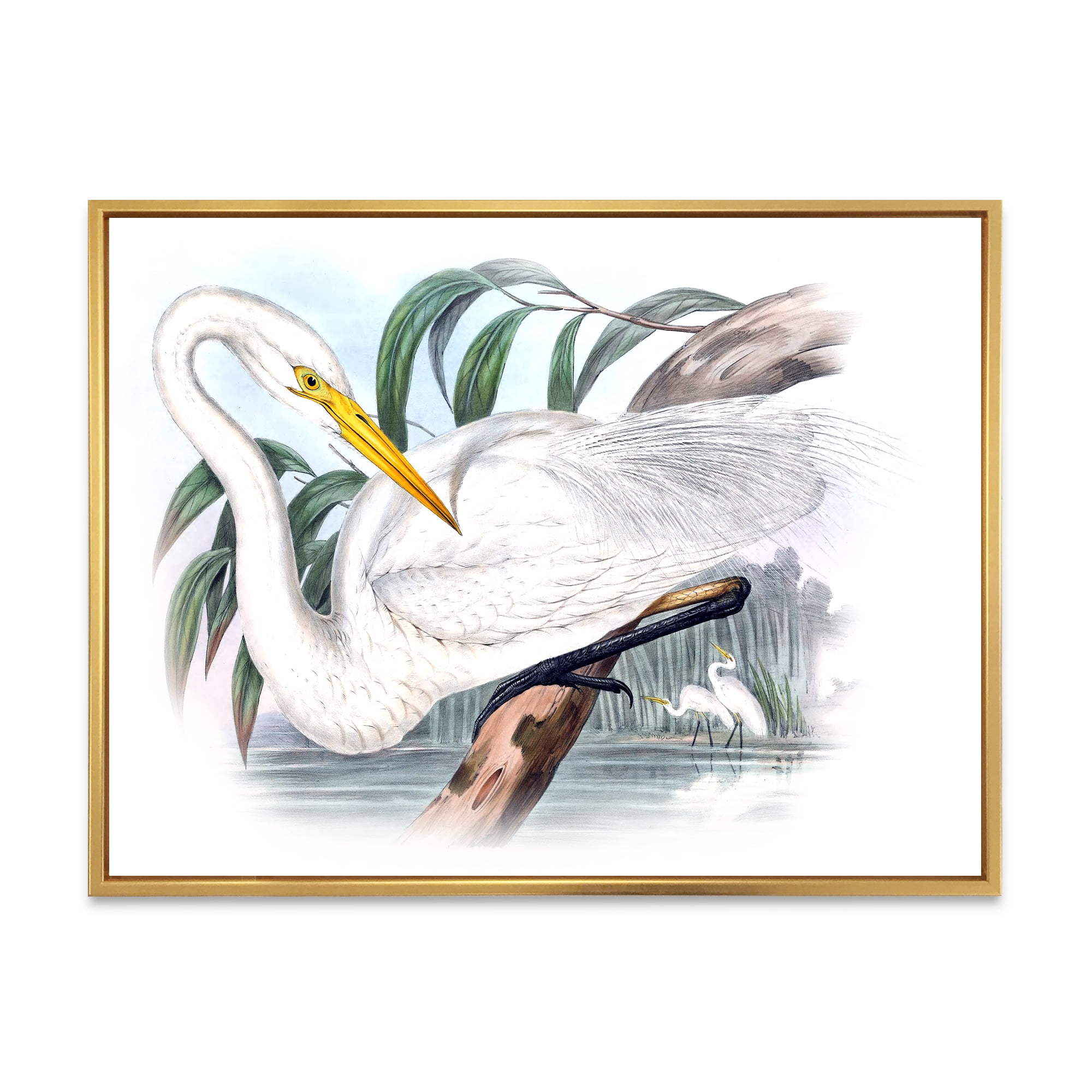 Designart 'Ancient Australian Birds IV' Traditional Framed Canvas Wall Art Print