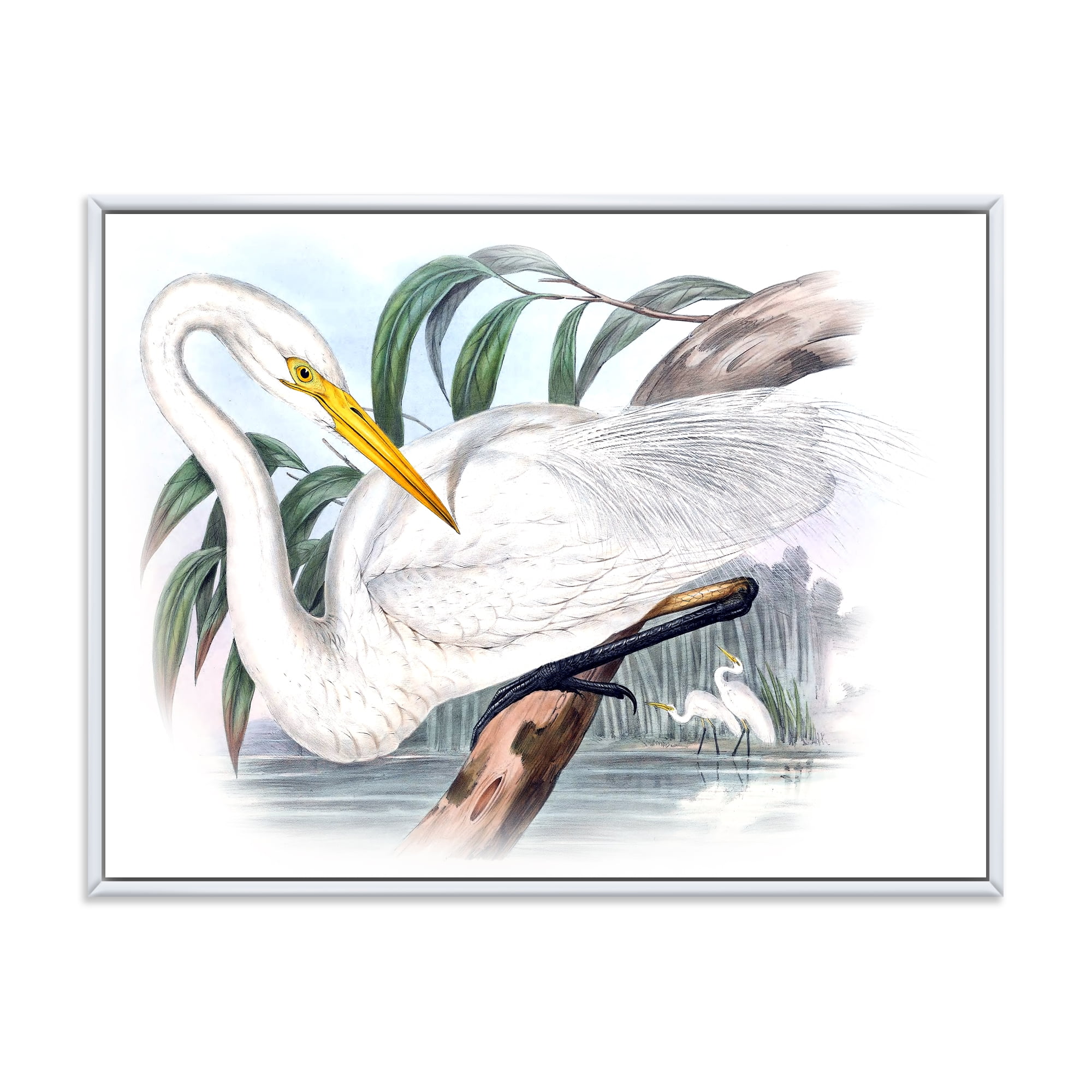 Designart 'Ancient Australian Birds IV' Traditional Framed Canvas Wall Art Print