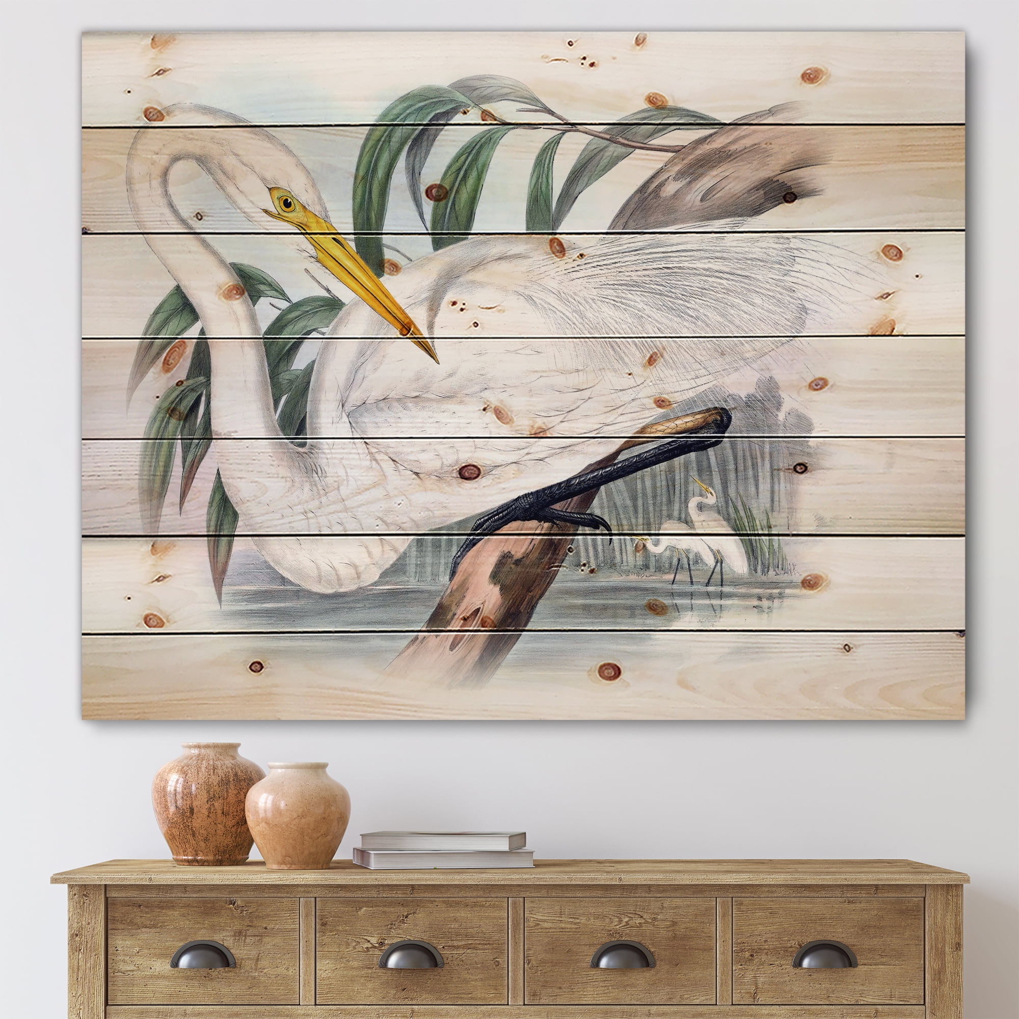 Designart 'Ancient Australian Birds IV' Traditional Print on Natural Pine Wood
