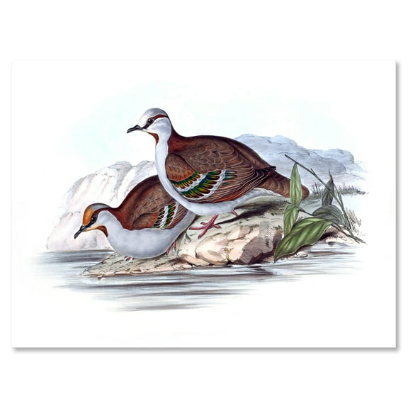 Designart ' Ancient Australian Birds IX ' Traditional Canvas Wall Art Print