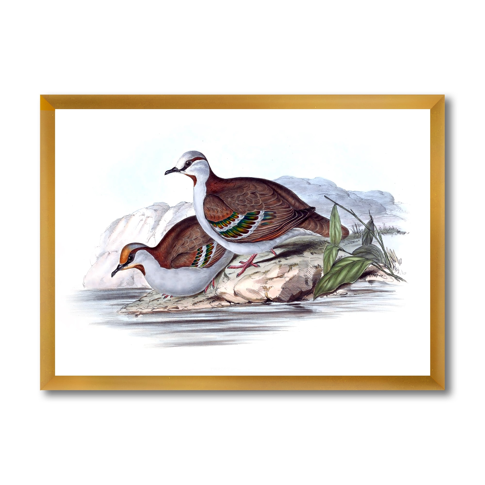 Designart 'Ancient Australian Birds IX' Traditional Framed Art Print