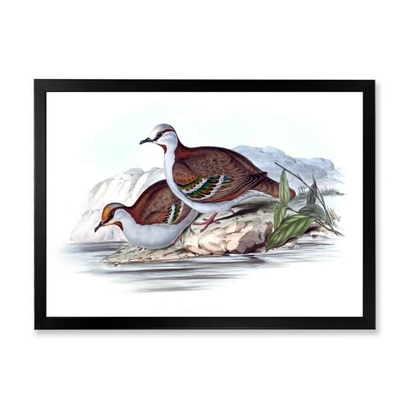 Designart 'Ancient Australian Birds IX' Traditional Framed Art Print