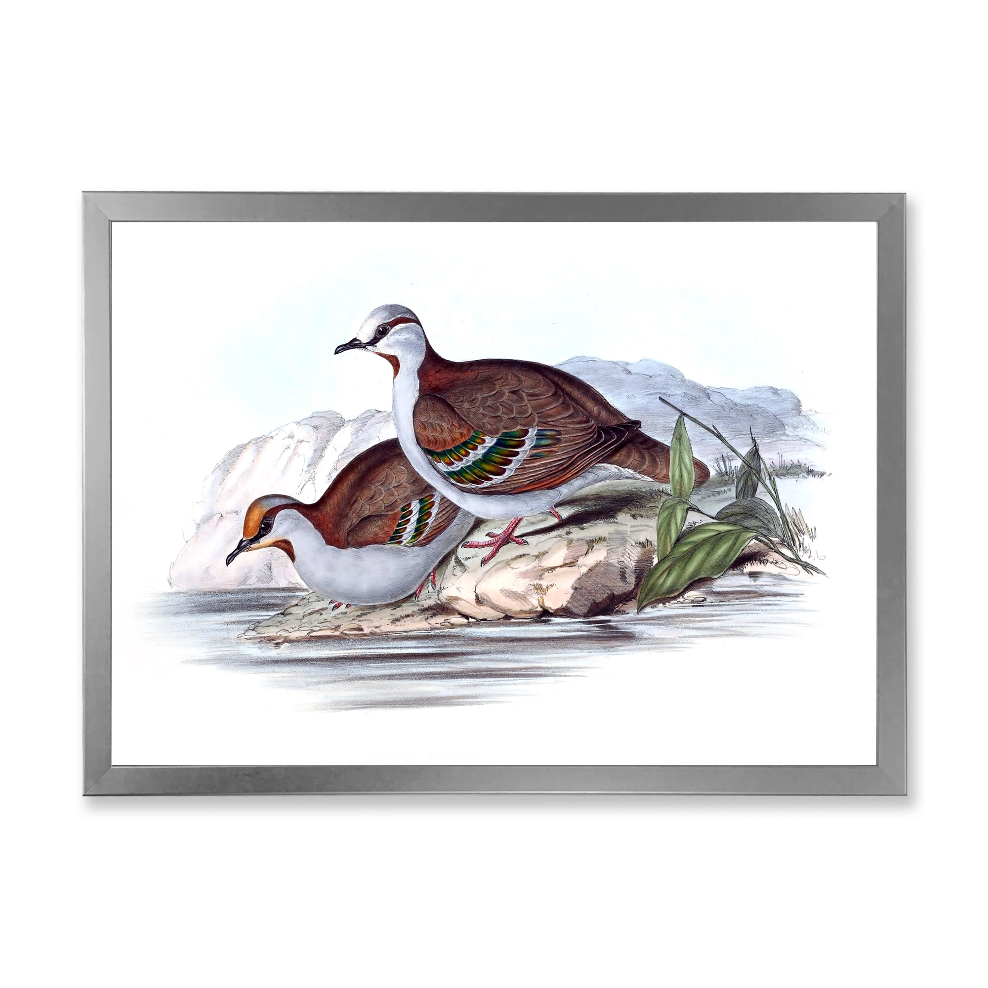 Designart 'Ancient Australian Birds IX' Traditional Framed Art Print