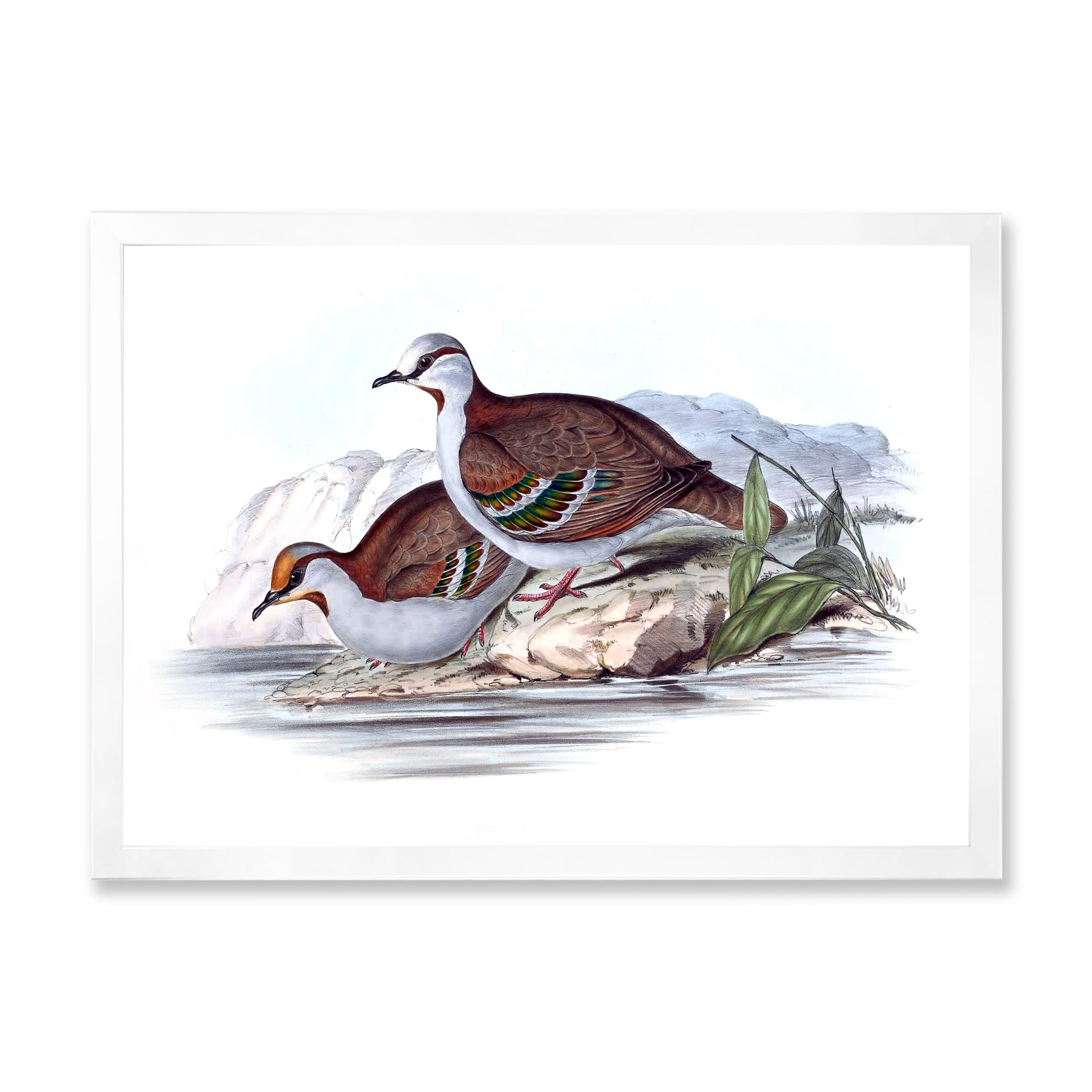 Designart 'Ancient Australian Birds IX' Traditional Framed Art Print