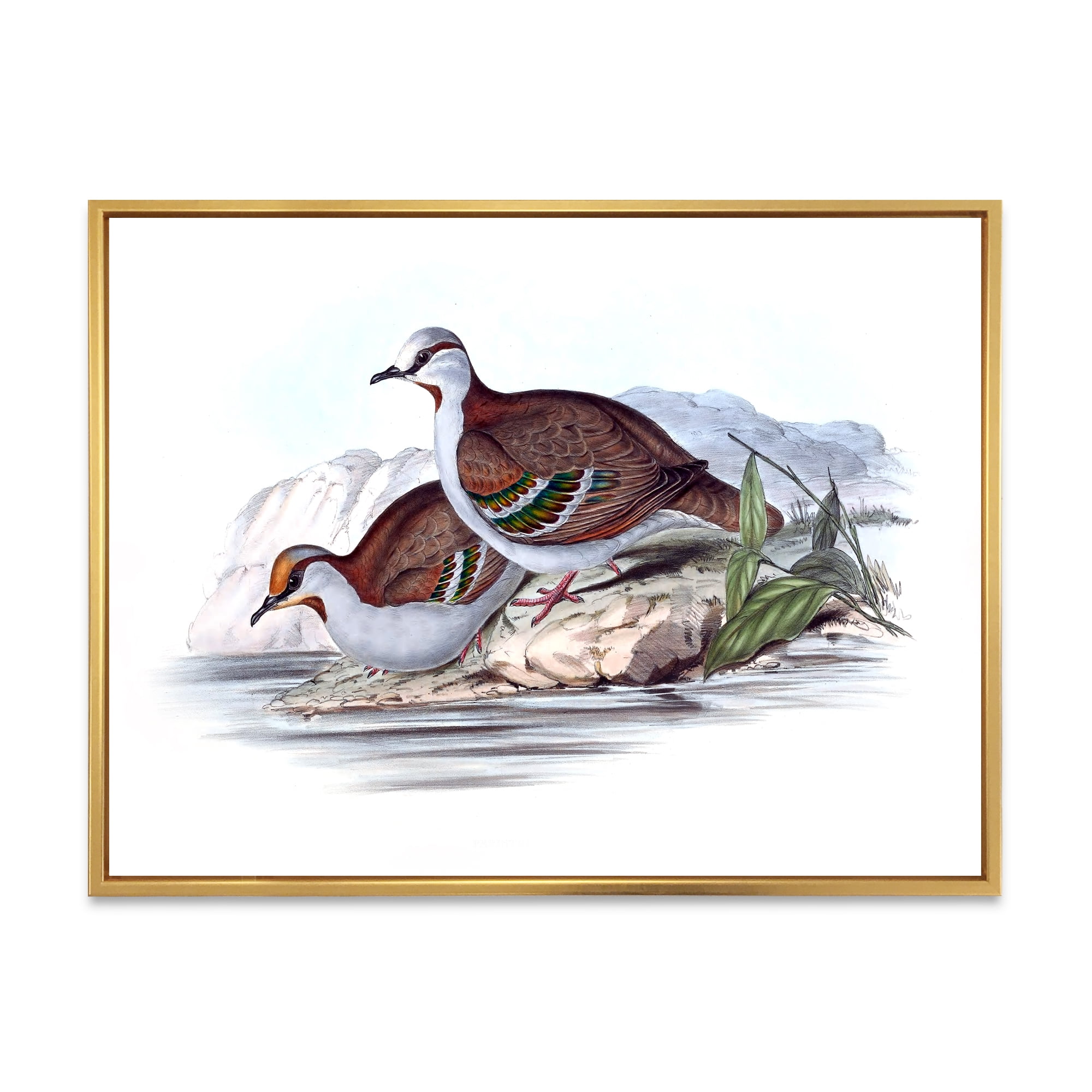 Designart 'Ancient Australian Birds IX' Traditional Framed Canvas Wall Art Print