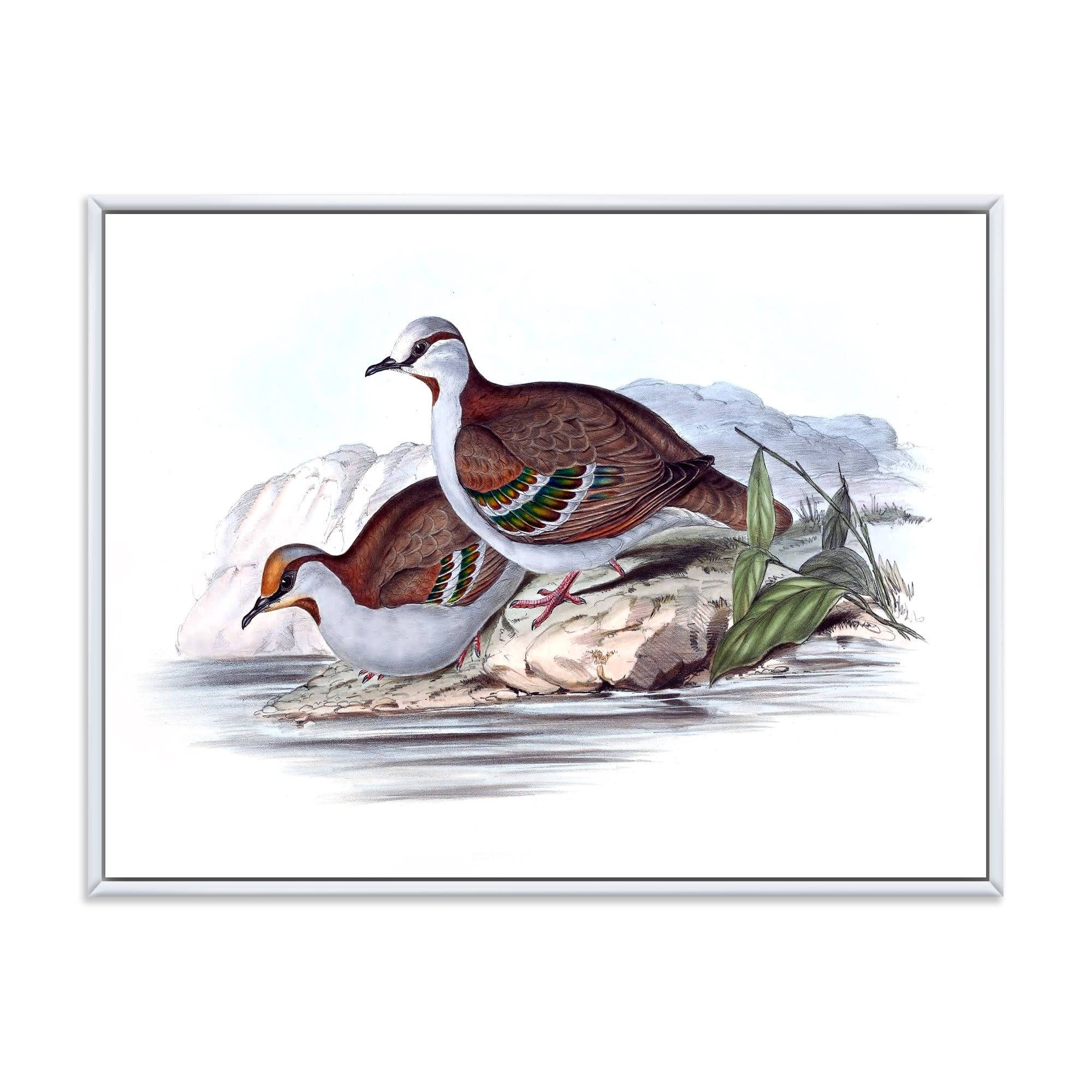 Designart 'Ancient Australian Birds IX' Traditional Framed Canvas Wall Art Print
