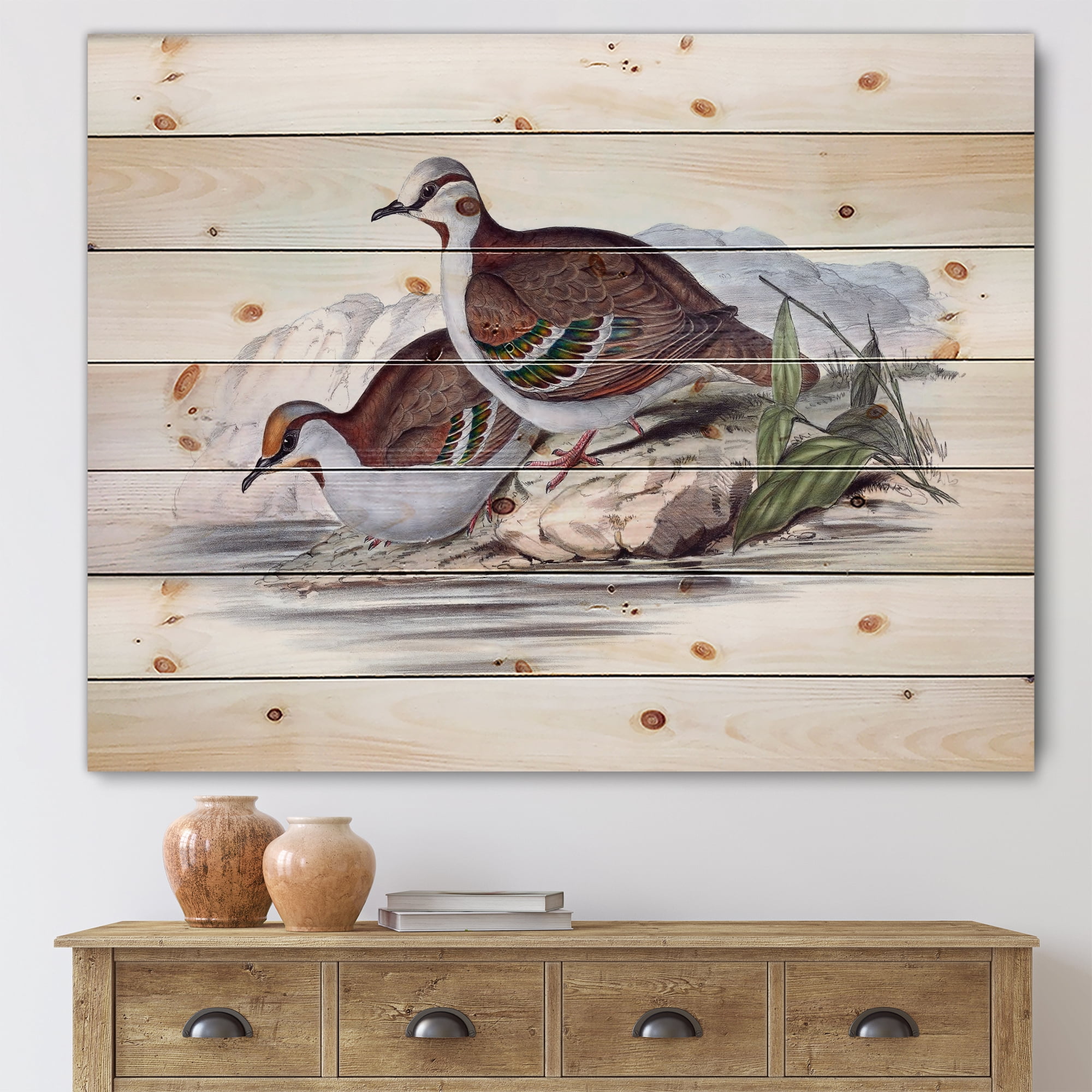 Designart 'Ancient Australian Birds IX' Traditional Print on Natural Pine Wood