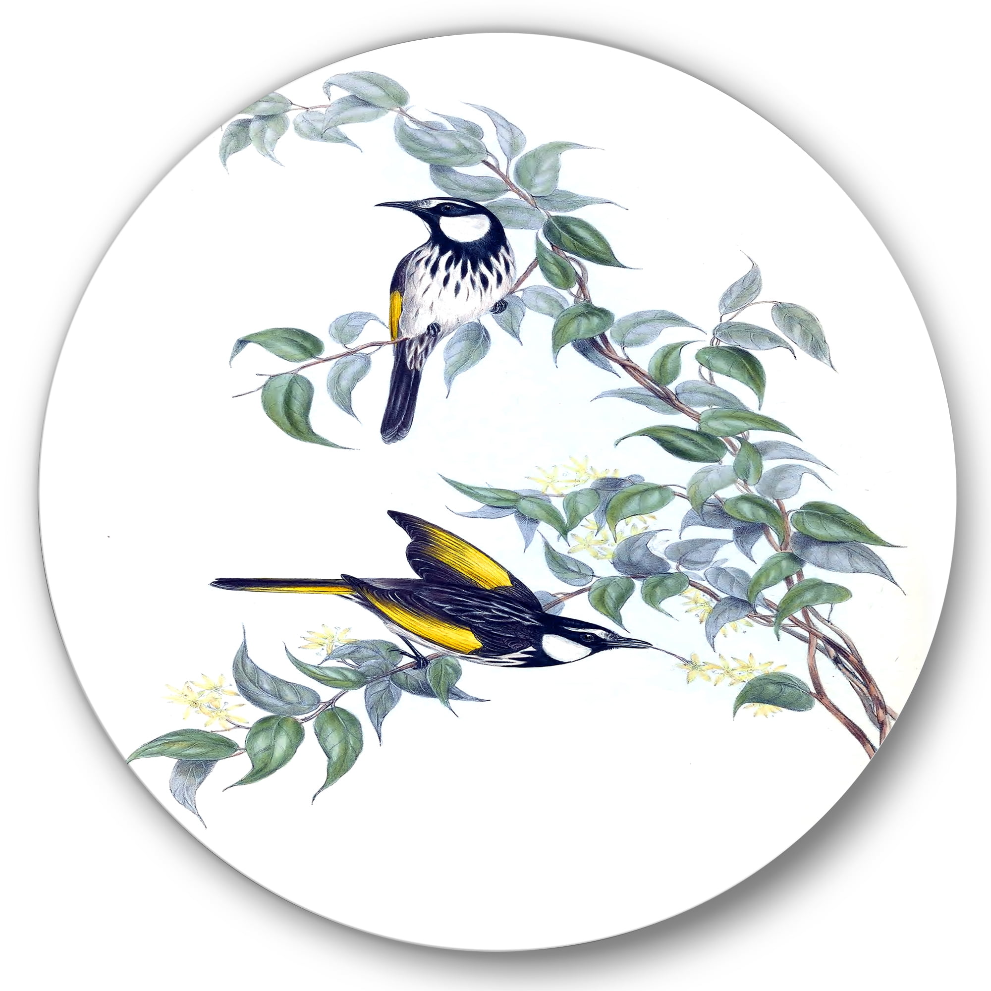 Designart 'Ancient Australian Birds On A Branch' Traditional Circle Metal Wall Art 11x11 - Disc of 11