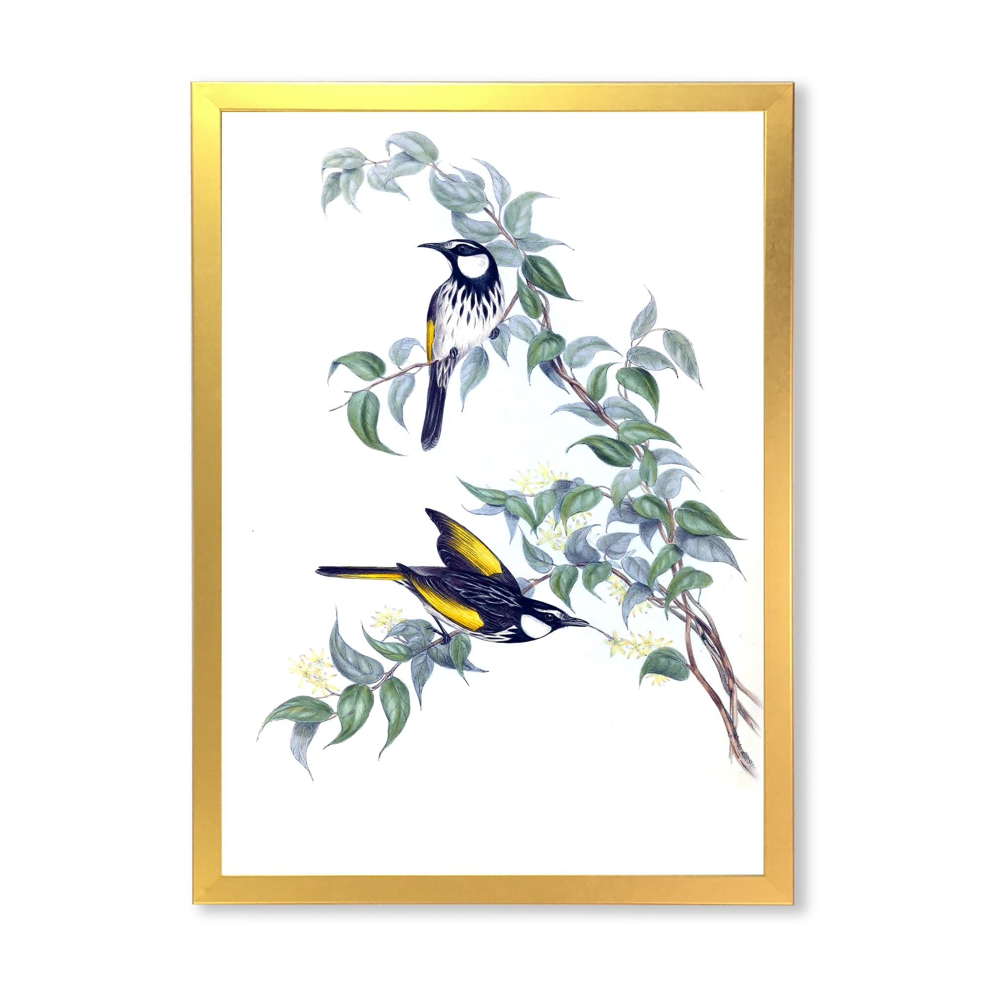 Designart 'Ancient Australian Birds On A Branch' Traditional Framed Art Print