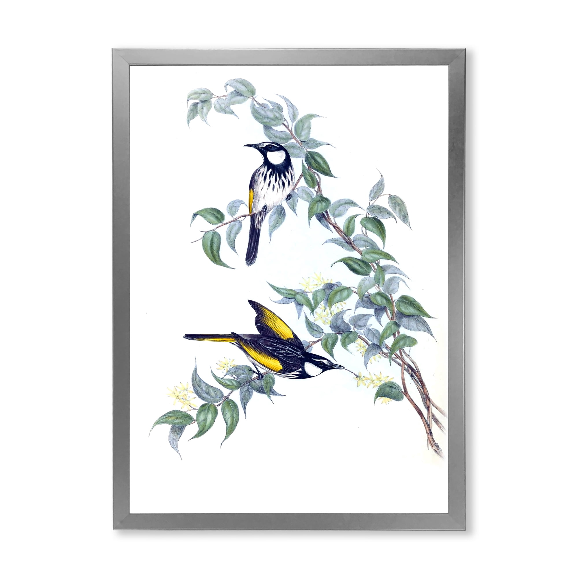 Designart 'Ancient Australian Birds On A Branch' Traditional Framed Art Print