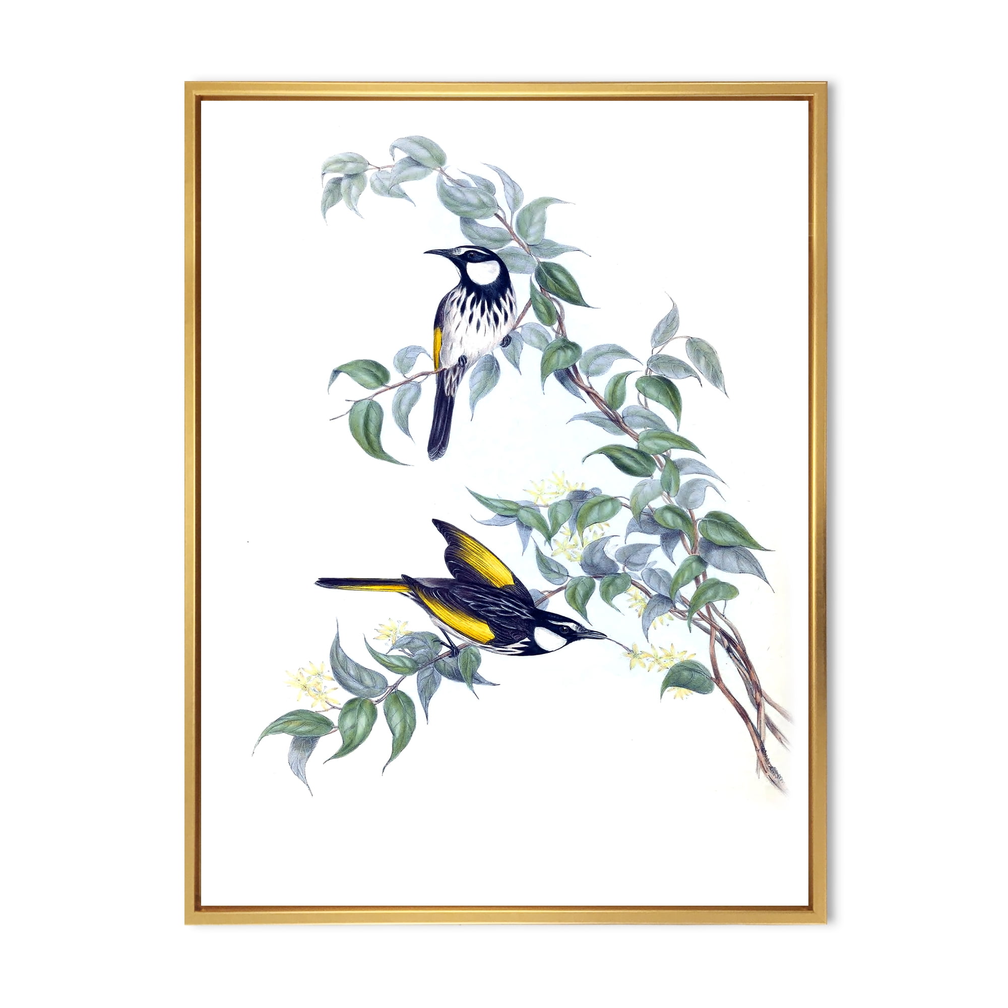 Designart 'Ancient Australian Birds On A Branch' Traditional Framed Canvas Wall Art Print