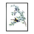 thumbnail image 1 of Designart 'Ancient Australian Birds On A Branch' Traditional Framed Canvas Wall Art Print, 1 of 1
