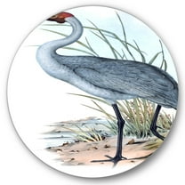 Designart 'Ancient Australian Birds V' Traditional Circle Metal Wall Art 36x36 - Disc of 36