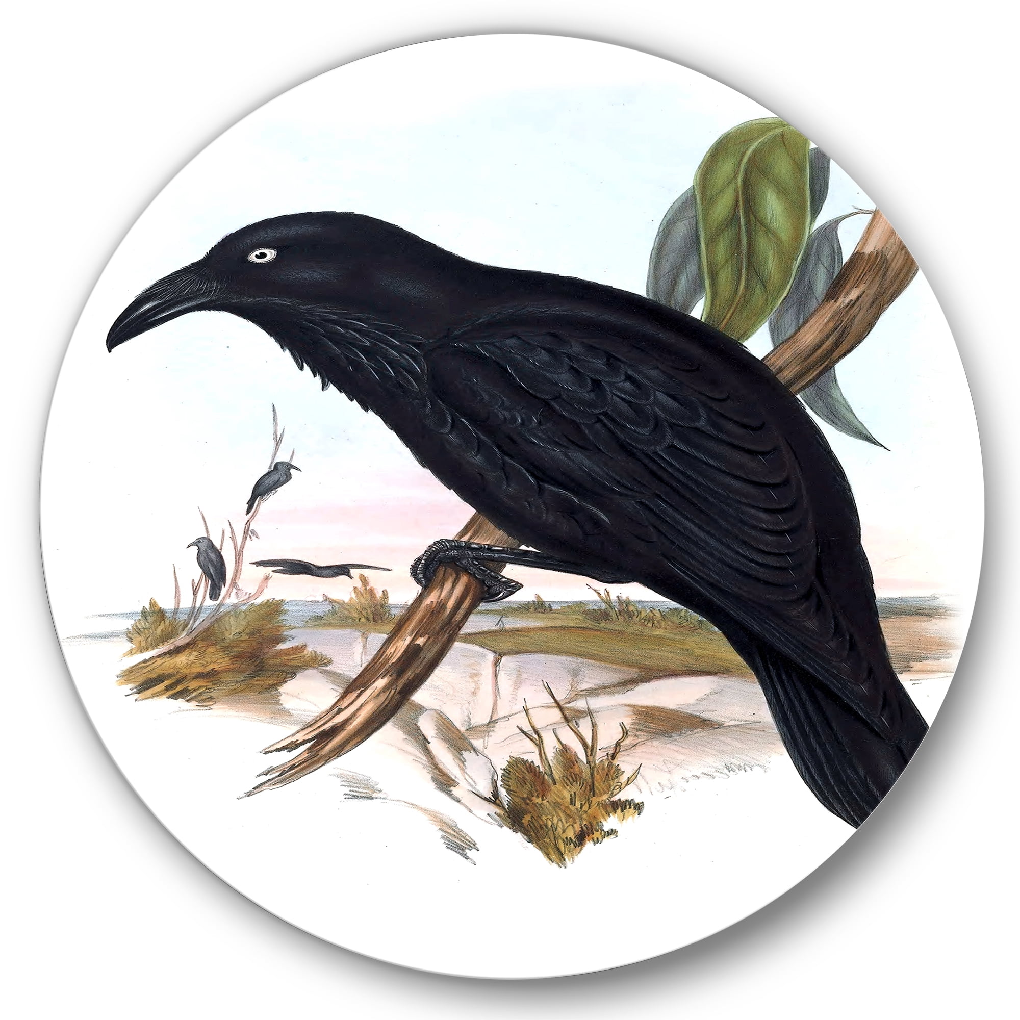 Designart 'Ancient Australian Birds VI' Traditional Circle Metal Wall Art 23x23 - Disc of 23