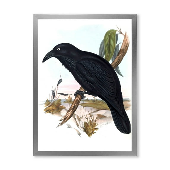 Designart 'Ancient Australian Birds VI' Traditional Framed Art Print