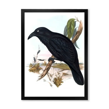 Designart 'Ancient Australian Birds VI' Traditional Framed Art Print