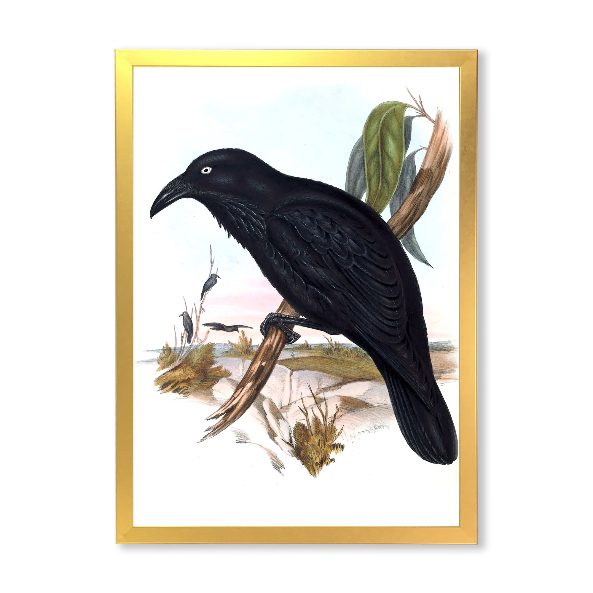 Designart 'Ancient Australian Birds VI' Traditional Framed Art Print