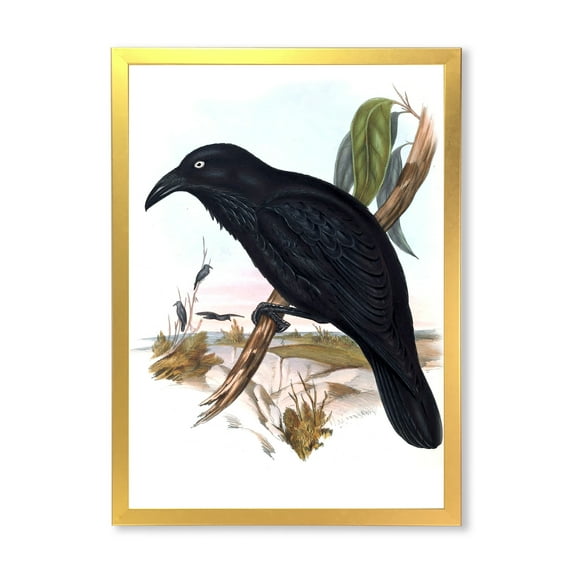Designart 'Ancient Australian Birds VI' Traditional Framed Art Print