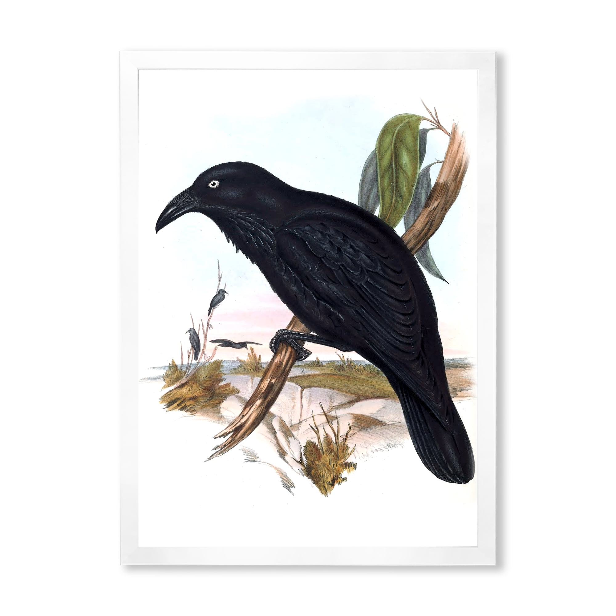 Designart 'Ancient Australian Birds VI' Traditional Framed Art Print