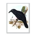 thumbnail image 1 of Designart 'Ancient Australian Birds VI' Traditional Framed Canvas Wall Art Print, 1 of 5
