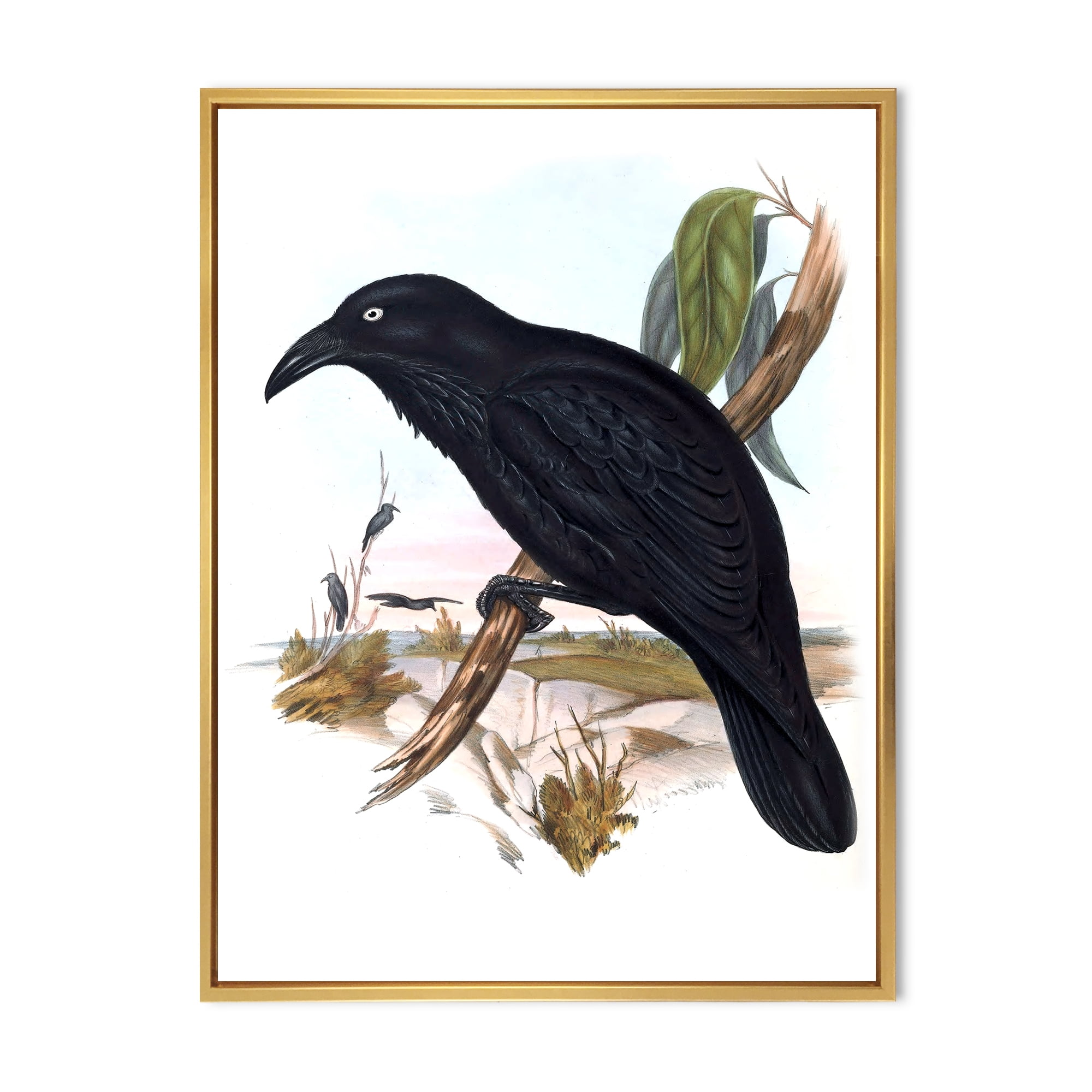 Designart 'Ancient Australian Birds VI' Traditional Framed Canvas Wall Art Print
