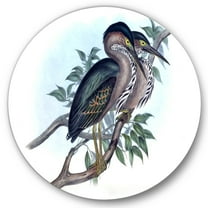 Designart 'Ancient Australian Birds VII' Traditional Circle Metal Wall Art 36x36 - Disc of 36