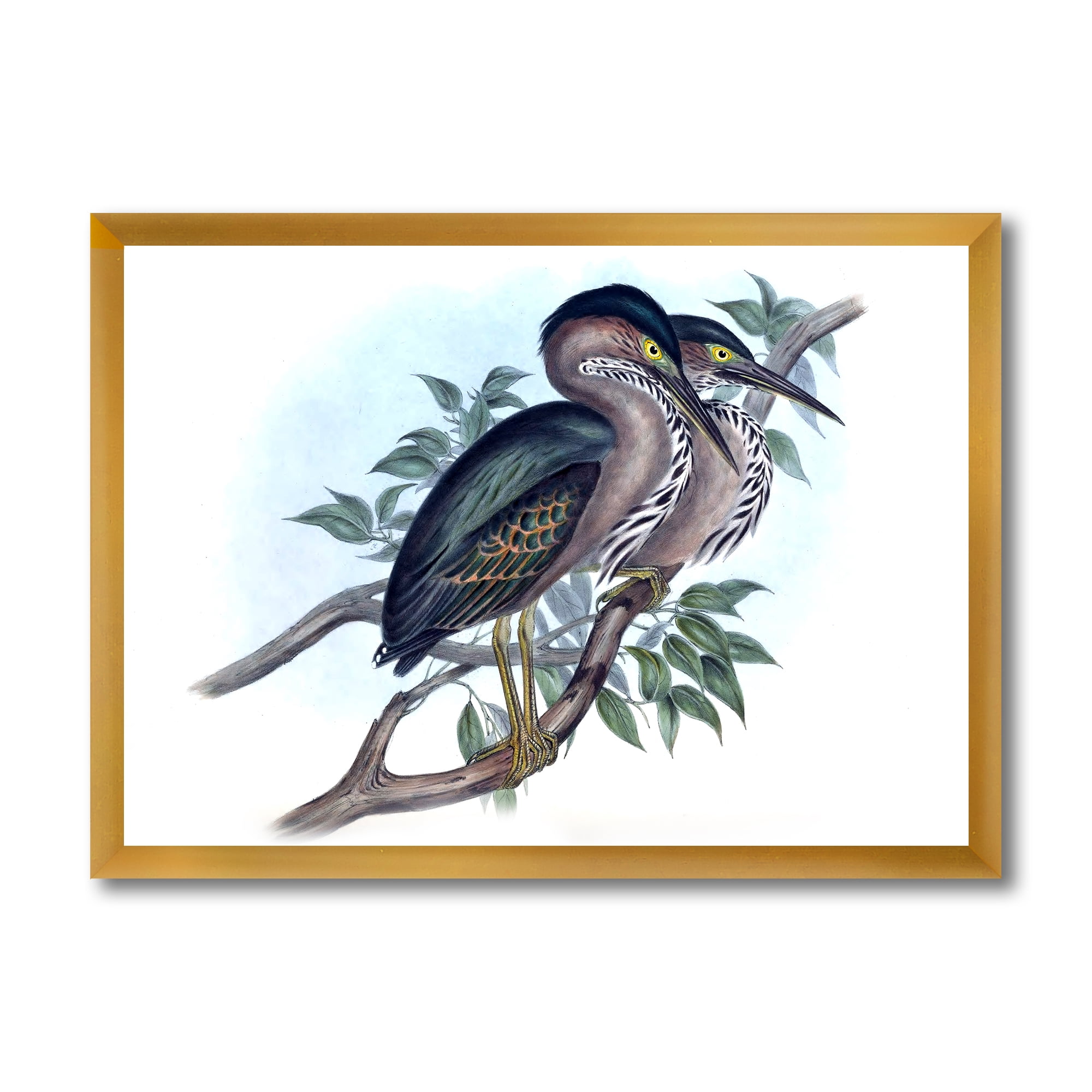 Designart 'Ancient Australian Birds VII' Traditional Framed Art Print