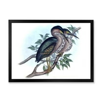 Designart 'Ancient Australian Birds VII' Traditional Framed Art Print