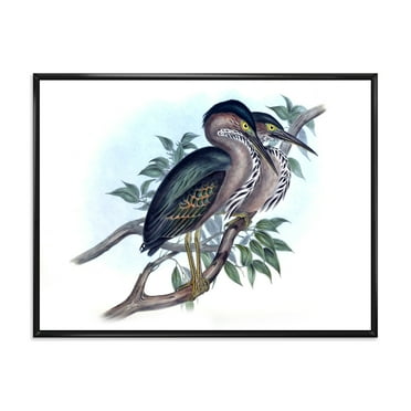 Designart 'Ancient Australian Birds VII' Traditional Framed Canvas Wall Art Print