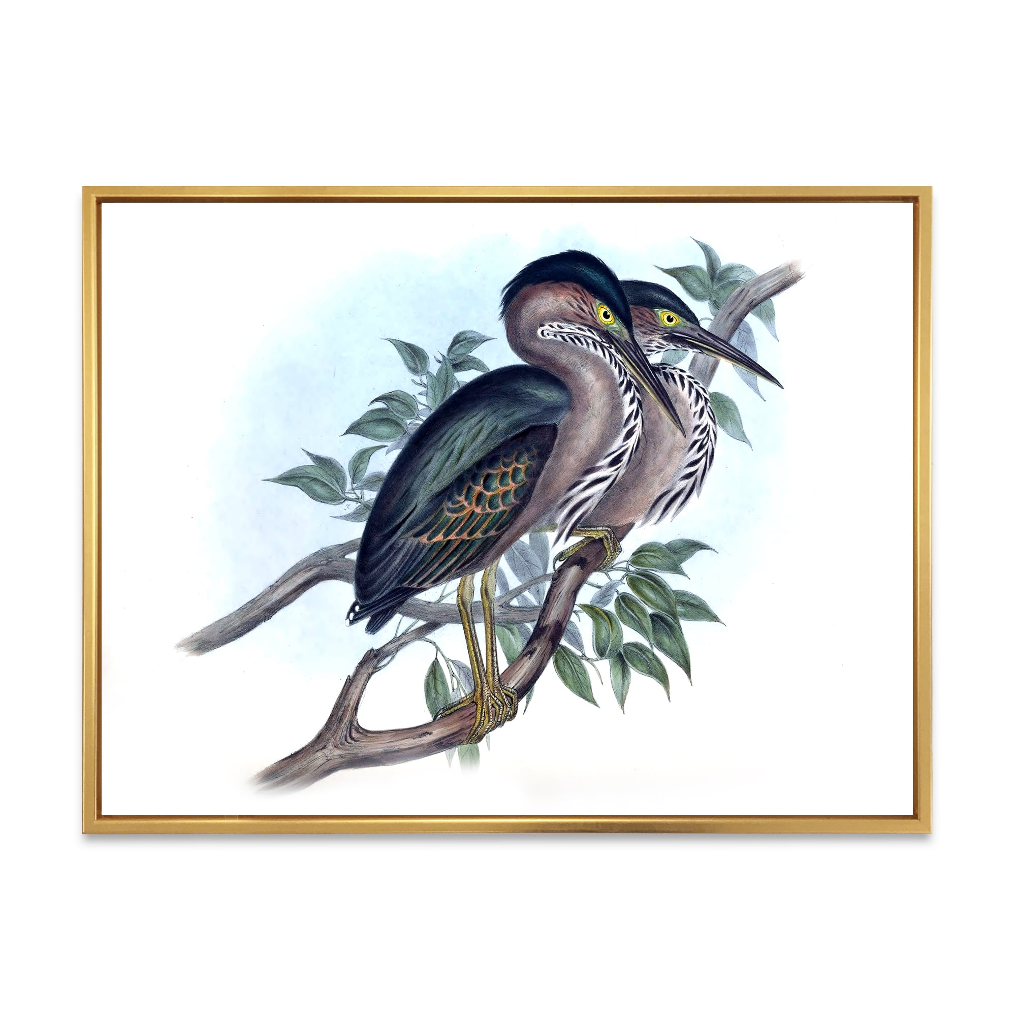 Designart 'Ancient Australian Birds VII' Traditional Framed Canvas Wall Art Print