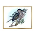 thumbnail image 1 of Designart 'Ancient Australian Birds VII' Traditional Framed Canvas Wall Art Print, 1 of 5