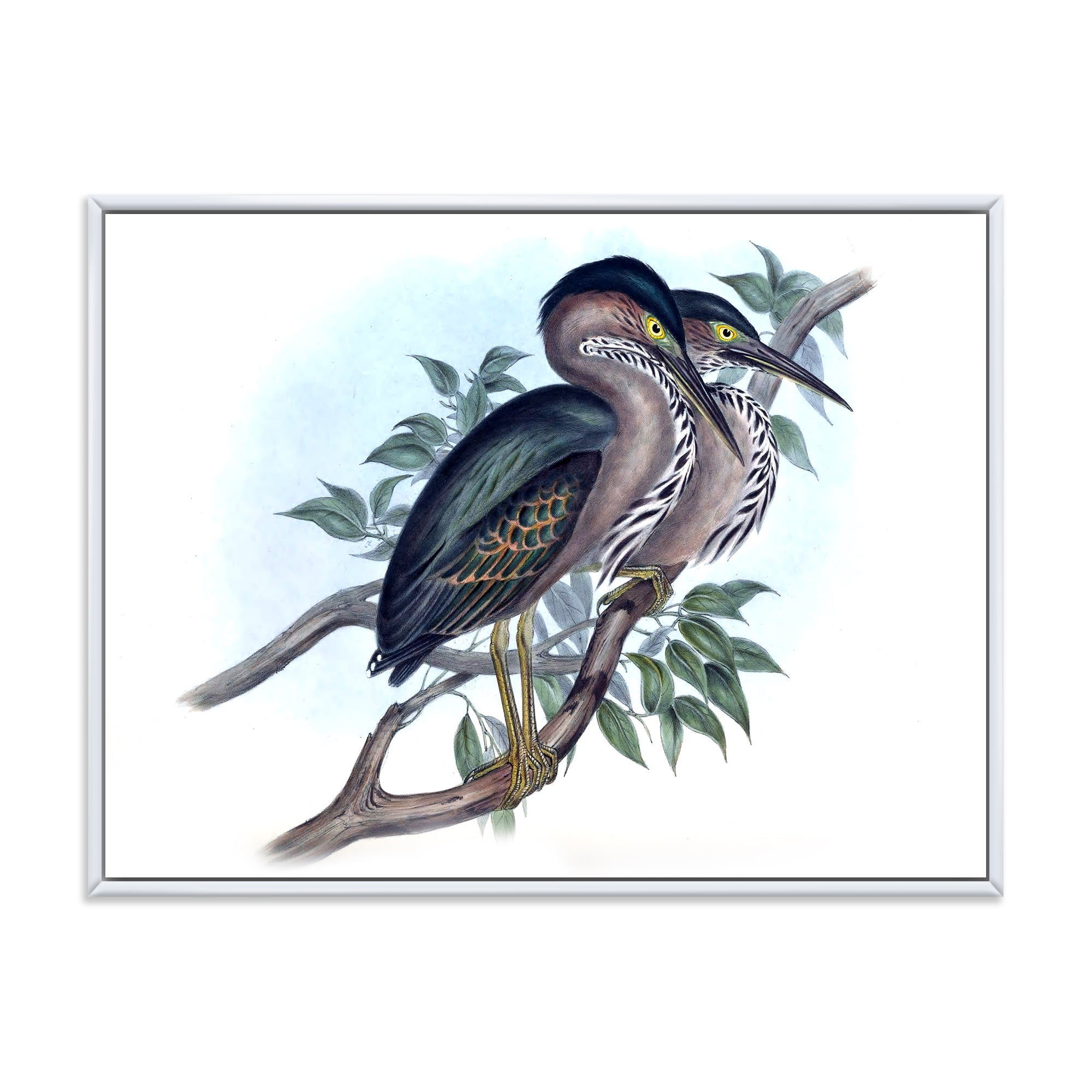 Designart 'Ancient Australian Birds VII' Traditional Framed Canvas Wall Art Print