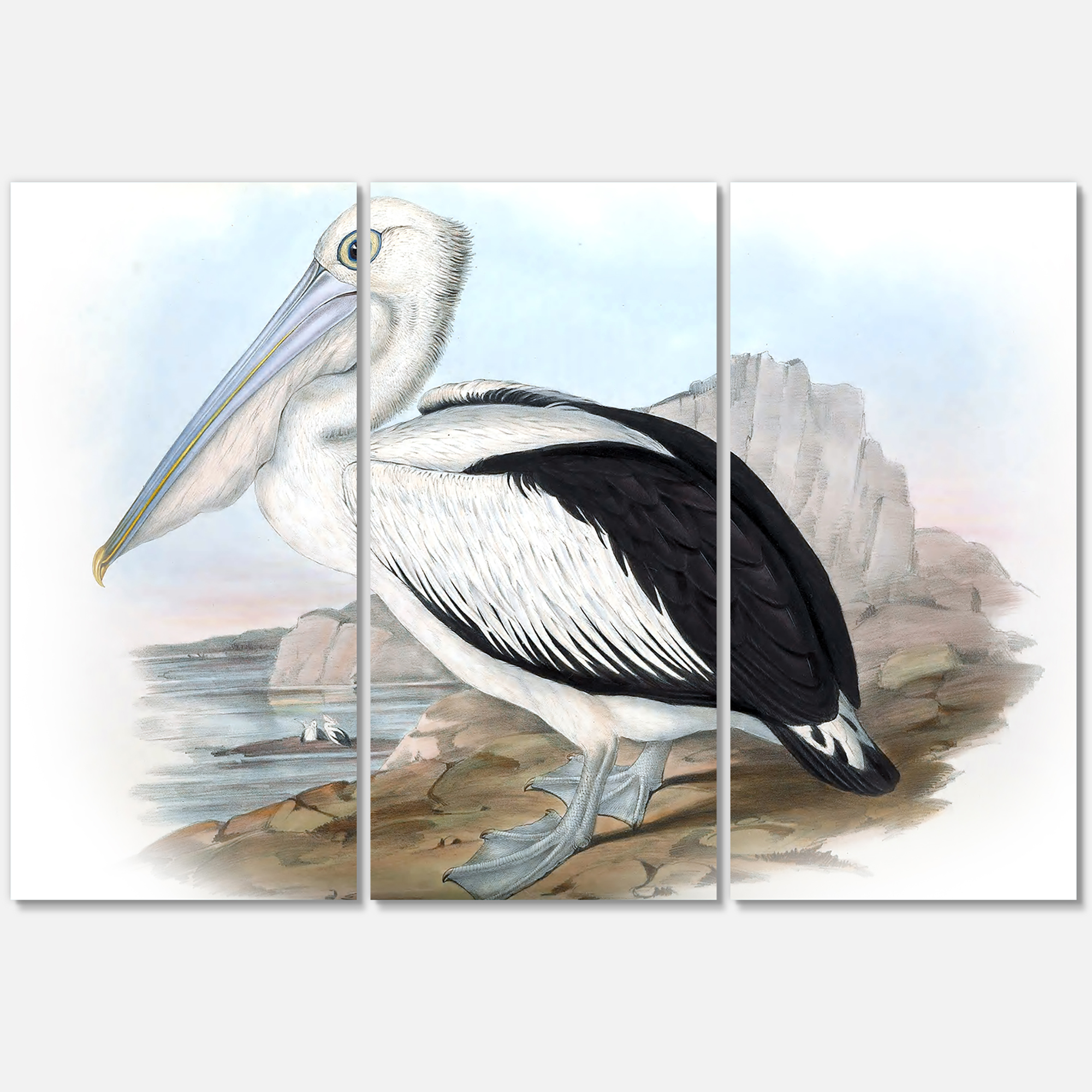 Designart ' Ancient Australian Birds VIII ' Traditional Canvas Wall Art Print