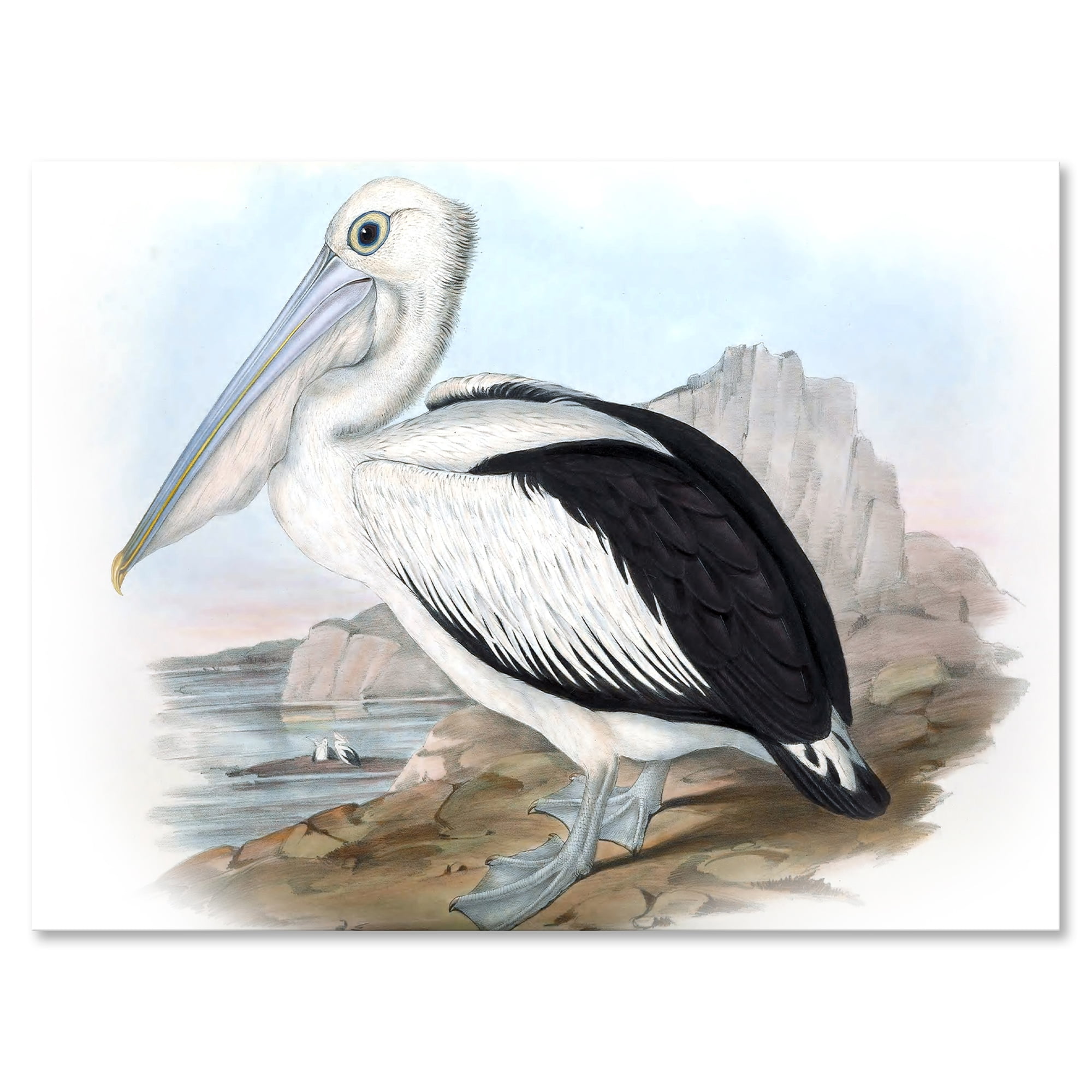 Designart ' Ancient Australian Birds VIII ' Traditional Canvas Wall Art Print