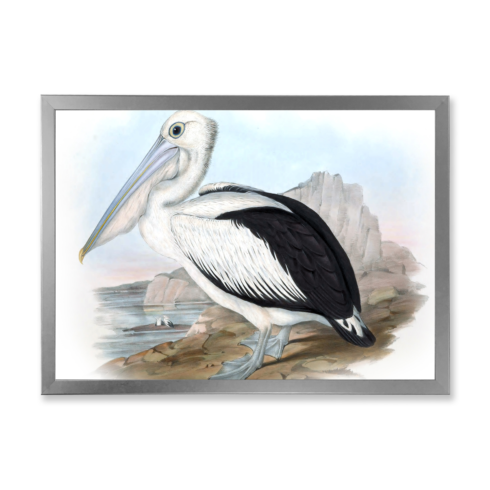 Designart 'Ancient Australian Birds VIII' Traditional Framed Art Print
