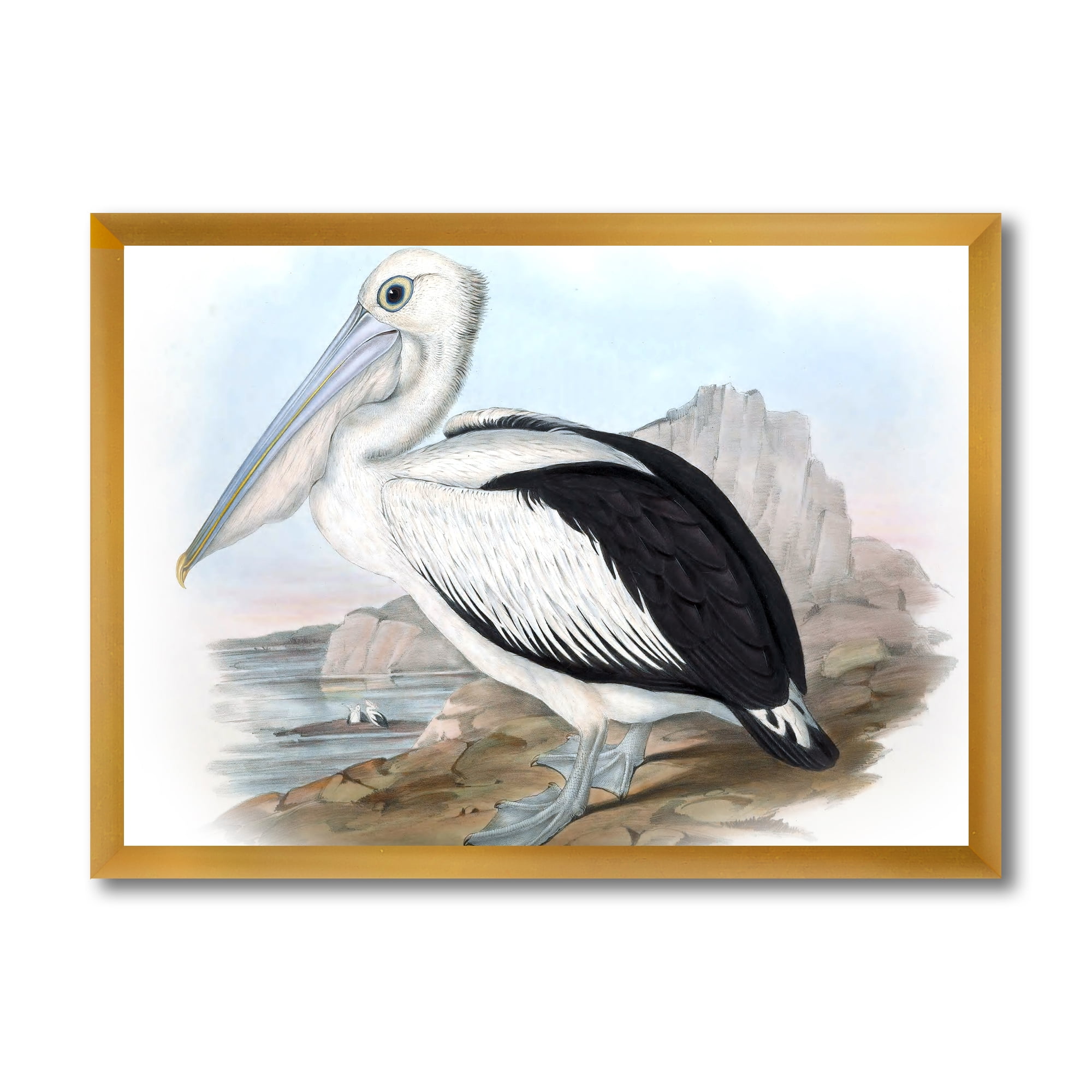 Designart 'Ancient Australian Birds VIII' Traditional Framed Art Print