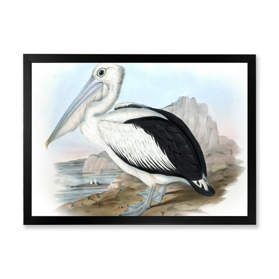 Designart 'Ancient Australian Birds VIII' Traditional Framed Art Print