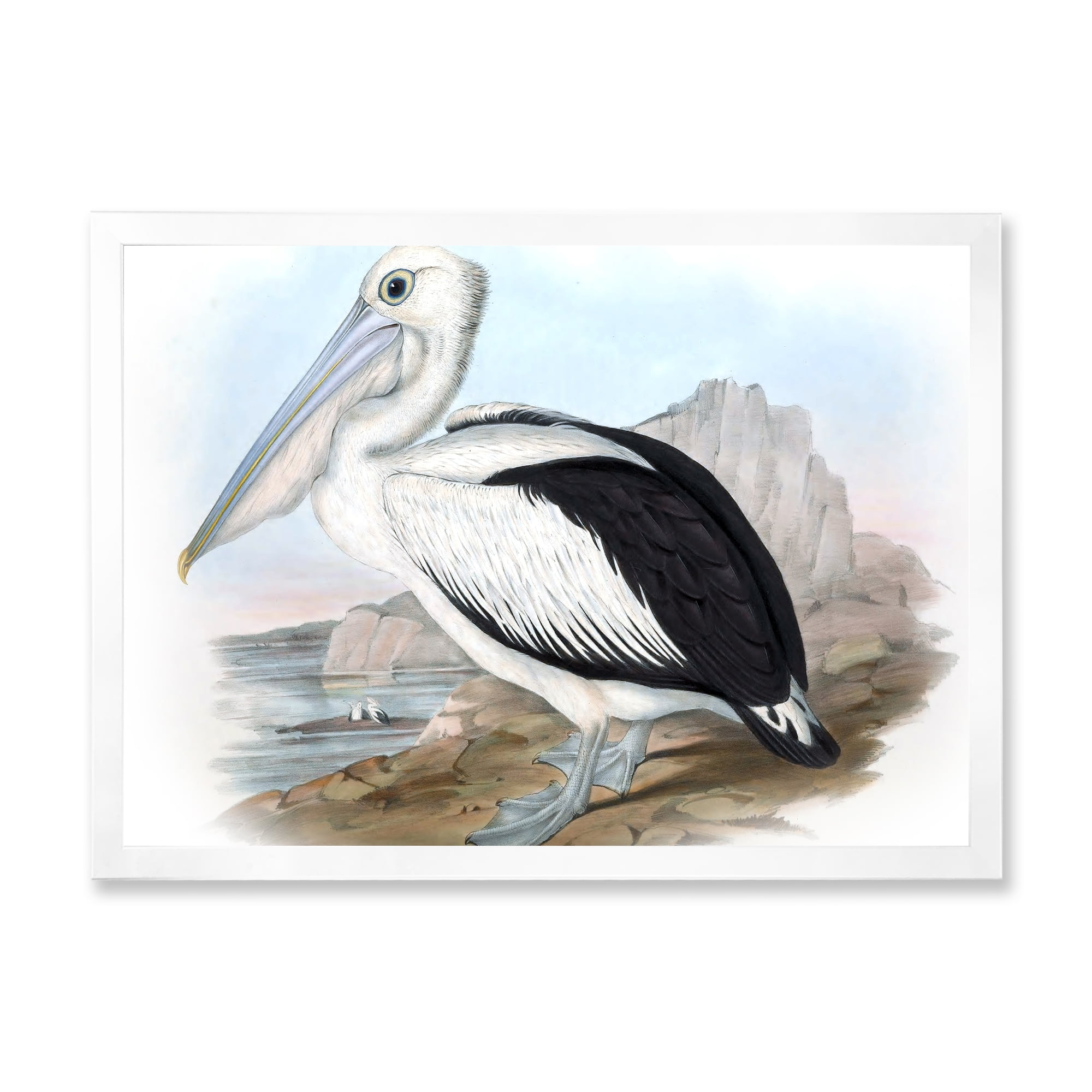 Designart 'Ancient Australian Birds VIII' Traditional Framed Art Print